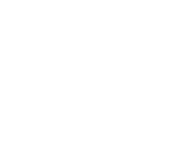 Logo Pampas de Ica